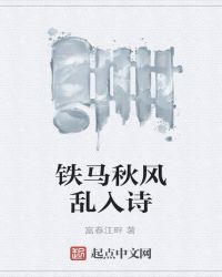 铁马秋风乱入诗