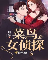 菜鸟女侦探