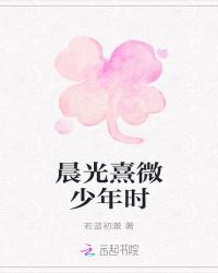 晨光熹微少年时