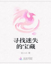 寻找迷失的宝藏