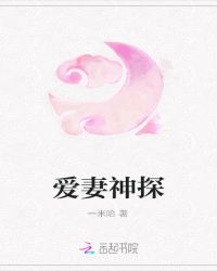 爱妻神探