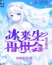 雪光黯淡：冰来生再相会