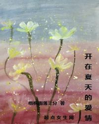 开在夏天的爱情
