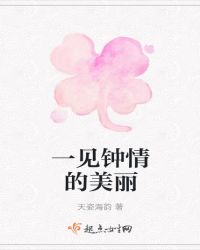 一见钟情的美丽