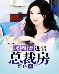 迷糊妻进错总裁房