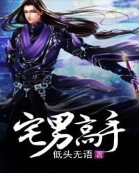 宅男高手