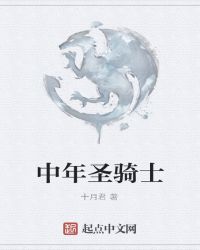 中年圣骑士