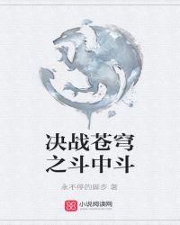 决战苍穹之斗中斗