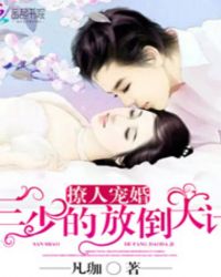 宠婚到底：三少的宝贝妻