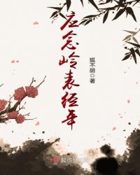 应念岭表经年