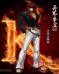 异界拳皇之风云再起