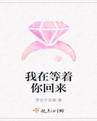 我在等着你回来