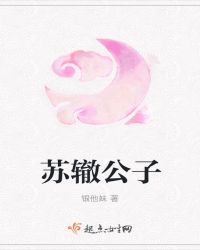 苏辙公子
