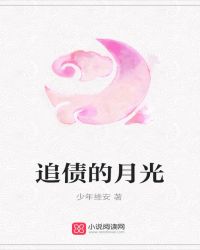 追债的月光