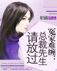 冤家难缠：总裁先生请放过