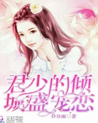 君少的倾城盛宠恋