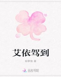 艾依驾到