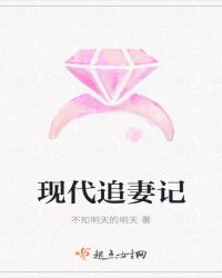 现代追妻记