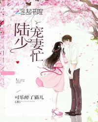 陆少，宠妻忙
