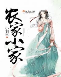 农家小家