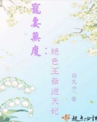 宠妻无度之权倾天下