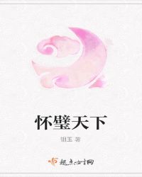 怀璧天下