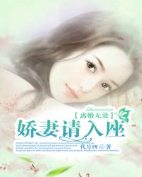 离婚无效：娇妻请入座