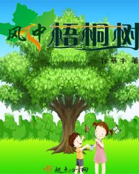 风中梧桐树