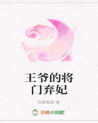 王爷的将门弃妃
