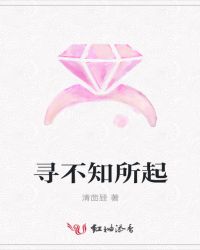 寻不知所起