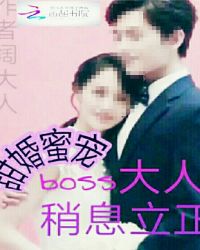 甜婚蜜宠boss大人，稍息立正
