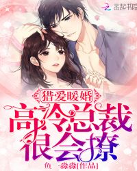 猎爱暖婚：高冷总裁很会撩
