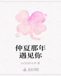 仲夏那年遇见你