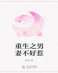 重生之男妻不好惹