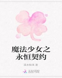 魔法少女之永恒契约