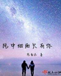 风中细雨只有你
