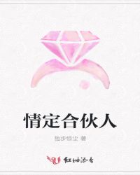 情定合伙人