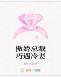 傲娇总裁巧遇冷妻