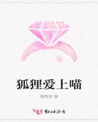 狐狸爱上喵
