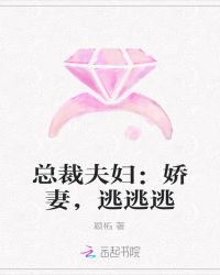 总裁夫妇：娇妻，逃逃逃
