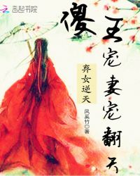 弃女逆天：傻王宠妻宠翻天