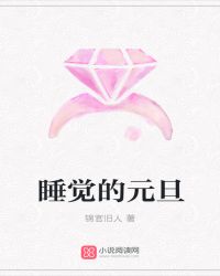 睡觉的元旦