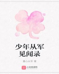 少年从军见闻录