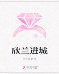 欣兰进城
