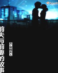前夫与前妻的故事
