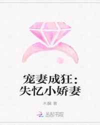 宠妻成狂：失忆小娇妻