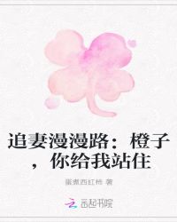 追妻漫漫路：橙子，你给我站住