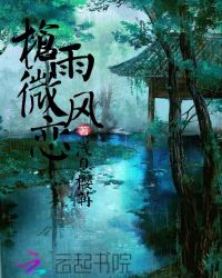 枪雨微风恋