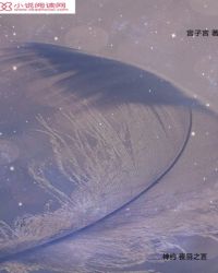 神约：夜羽之言