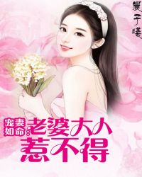 宠妻如命：老婆大人惹不得
